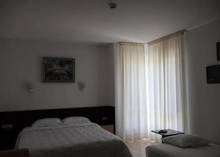 Family Avramov Hotel Vidin